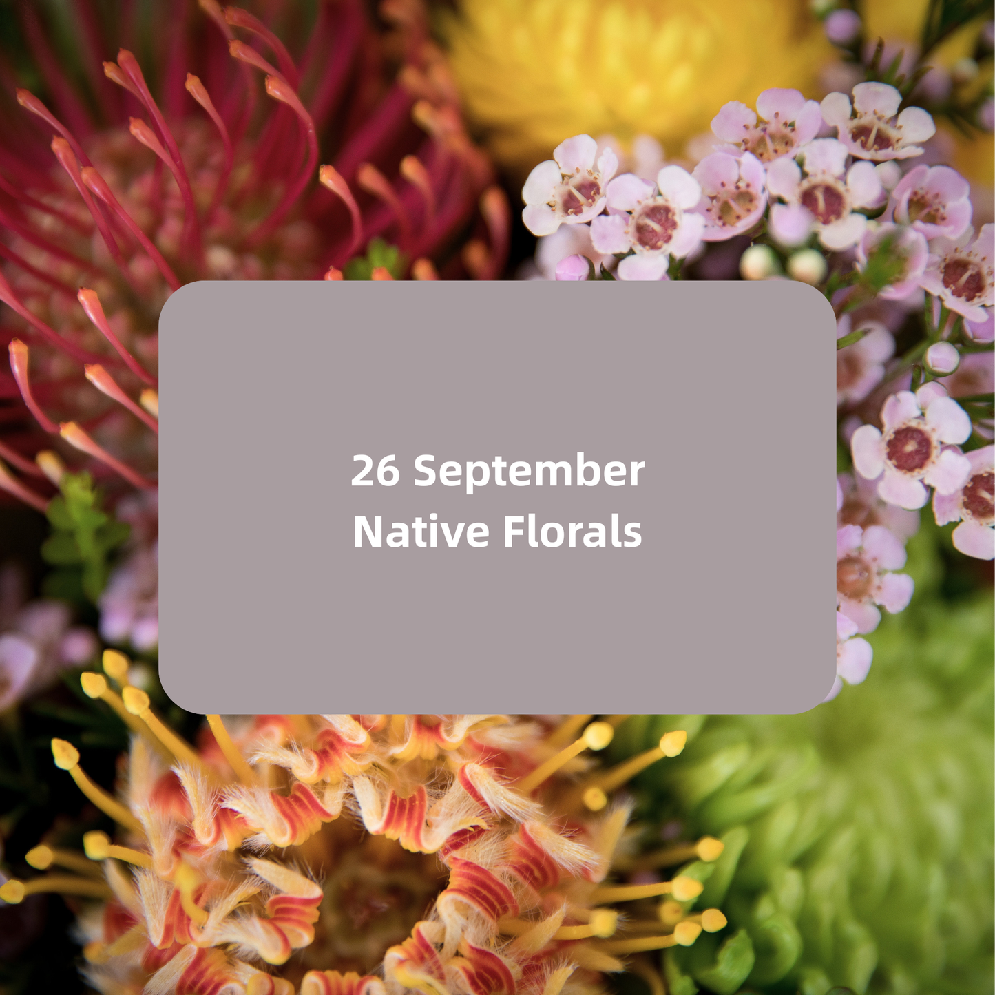 Canvas & Cocktails — Native Florals Session